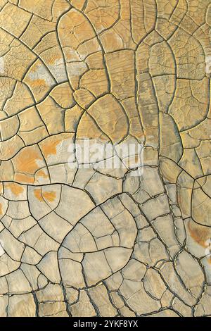 Immagine ad alta risoluzione che mostra gli intricati motivi di una superficie di fango asciutta incrinata con varie sfumature di marrone e beige. Foto Stock