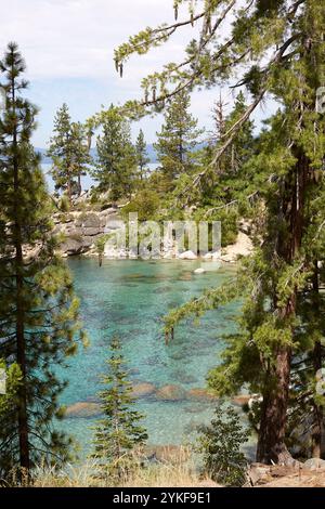 Il lago Tahoe, turchese circondato da alti pini nel lago Tahoe, l'ambiente naturale della foresta offre un bel contrasto con le acque cristalline Foto Stock