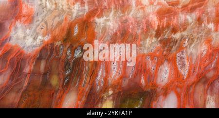 Immagine ravvicinata che mostra i motivi naturali e i colori ricchi e vibranti nella struttura dettagliata di un legno di pietra dell'Arizona o Araucarioxylon arizo Foto Stock