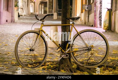 Una bicicletta d'epoca è bloccata su un albero in una strada acciottolata a Ginevra, in Svizzera le foglie autunnali cadute circondano la moto, creando un'accogliente nostalgia Foto Stock