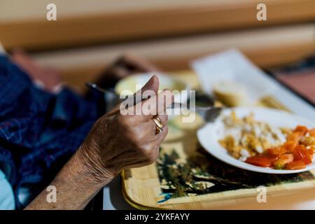 Primo piano della mano di una donna anziana che tiene una forchetta e cena in un ambiente residenziale accogliente Foto Stock