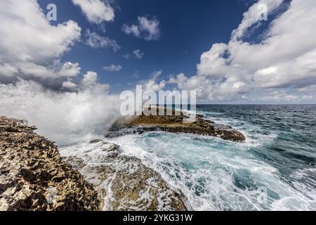 Boka Pistol, Sabana Westpunt, costa nord-occidentale di Curacao: Spruzzi da un'onda di rottura si innalzano sulle rocce coralline, mentre l'acqua in discesa rifluisce nei canali rocciosi naturali della baia. Il fenomeno che ha dato il nome alla baia è particolarmente evidente quando il mare è agitato. Boka Pistol è una piccola baia rocciosa dove le onde normali creano un'alta fontana di spruzzi con un battito. Weg Zonder Naam, Sabana Westpunt, Curacao, Kòrsou Foto Stock