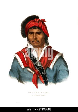 Indiani, nativi americani, Nea-Math-la, capo della tribù Seminole, Stati Uniti d'America, USA, dipinto di Charles Bird King (1785 - 1862), intorno al 1840, riproduzione storica, restaurata digitalmente da un originale del XIX secolo, data record non dichiarata, Indianer, Ureinwohner von Nordamerika, Häuptling aus dem Stamm der Seminolen, Vereinigte Staaten von Amerisch, Gemälde 1785, Charles von Amerisch von Vauerau Vauerus Vauerau Vauerau Vauesen, 1862 1840. Jahrhundert Foto Stock