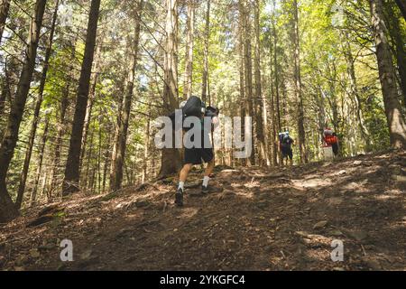 Gruppo di escursionisti che camminano in salita attraverso una fitta foresta nei Monti Beskydy, Repubblica Ceca. Un'avventura piena di natura, resilienza e di Foto Stock