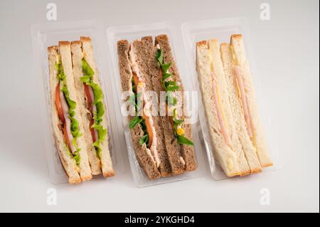 Tre panini confezionati con pane bianco e integrale, ripieni di lattuga, pomodori, tacchino, formaggio, prosciutto e verdure. Ideale per pasti veloci. Foto Stock