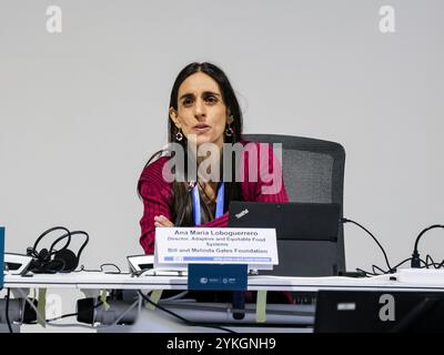 Baku, Azerbaigian il 18 novembre 2024. Ana Maria Loboguerrero, Director, Adaptive and Equitable Food Systems, Bill and Melinda Gates Foundation partecipa alla tavola rotonda "dialogo ad alto livello sui piani nazionali di adattamento: Trasformare l'ecosistema di supporto per i PAN" durante la conferenza delle Nazioni Unite sui cambiamenti climatici COP29, un evento organizzato dall'UNFCCC allo Stadio Olimpico di Baku. La COP29, in corso dall'11 al 22 novembre, si concentra sul finanziamento del clima. Crediti: Dominika Zarzycka/Alamy Live News. Foto Stock