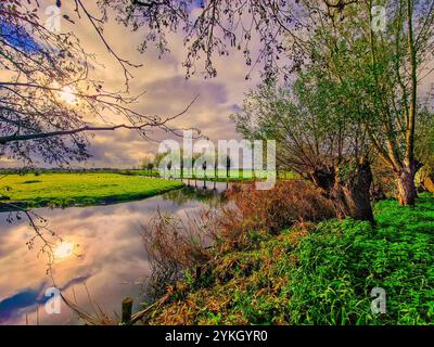 Paesaggio di polder olandese durante l'alba visto da Spookverlaat a Kruiskade, Hazerswoude-Rijndijk con prati verdi d'acqua caratteristici salice di pollard Foto Stock