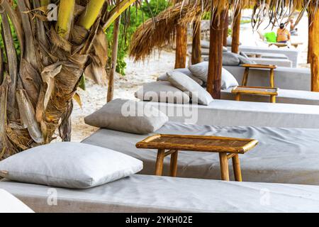 Palapa con tetti di paglia, palme, ombrelloni e sedie a sdraio presso l'hotel Beach Resort sulla spiaggia tropicale messicana di Playa del Carmen, Messico Foto Stock