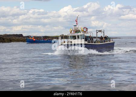 Una barca di Glad Tidings che porta i visitatori alle Isole farne Foto Stock