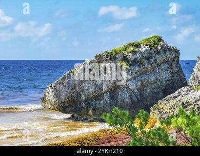 Vista panoramica del mare naturale presso le antiche rovine di Tulum sito Maya con rovine del tempio piramidi e manufatti nella foresta tropicale naturale giungla pa Foto Stock