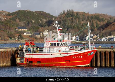 La nave da pesca registrata nel Regno Unito/Scozia Bon ami - BA104 - ormeggiata nel porto di Lochinver sulla costa occidentale della Scozia. Foto Stock