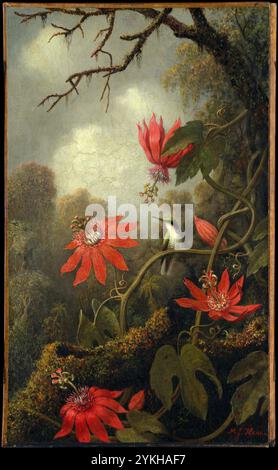 Colibrì e fiori di passione. Martin Johnson Heade. circa 1875–85 Foto Stock