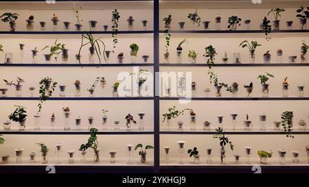 USO EDITORIALE SOLO il progetto Urban Farmer è stato presentato nella City di Londra, un centro educativo e culturale dedicato ad affrontare la povertà alimentare e ad ampliare l'accesso ai prodotti agricoli sostenibili. Data foto: Lunedì 18 novembre 2024. Supporti PA. Un progetto di iniziativa congiunta di Fleet Street Quarter BID, Landsec, e London Community Kitchen, che utilizza cibo in eccesso per sfamare le persone e per sviluppare le competenze nella comunità. Il lancio ha incluso il debutto di PLANTATION, un'installazione che esplora la crescita di piante idroponiche dell'artista polacca Alicja Patanowska, realizzata in porcellana artigianale A. Foto Stock