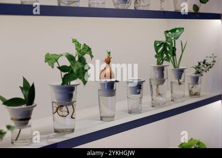 USO EDITORIALE SOLO il progetto Urban Farmer è stato presentato nella City di Londra, un centro educativo e culturale dedicato ad affrontare la povertà alimentare e ad ampliare l'accesso ai prodotti agricoli sostenibili. Data foto: Lunedì 18 novembre 2024. Supporti PA. Un progetto di iniziativa congiunta di Fleet Street Quarter BID, Landsec, e London Community Kitchen, che utilizza cibo in eccesso per sfamare le persone e per sviluppare le competenze nella comunità. Il lancio ha incluso il debutto di PLANTATION, un'installazione che esplora la crescita di piante idroponiche dell'artista polacca Alicja Patanowska, realizzata in porcellana artigianale A. Foto Stock