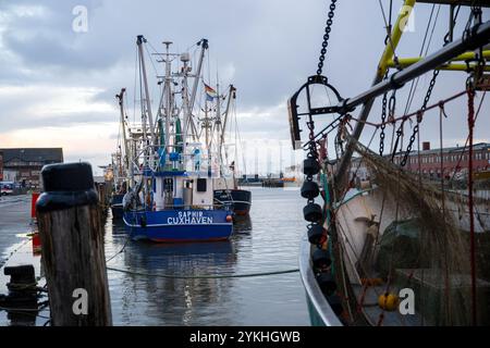 Cuxhaven, Germania. 18 novembre 2024. Barche di gamberi ormeggiate nel porto. La seconda Conferenza della pesca della Germania settentrionale si svolge a Cuxhaven. Il tema della conferenza è la salvaguardia e lo sviluppo sostenibile della pesca costiera tedesca. Credito: Sina Schuldt/dpa/Alamy Live News Foto Stock