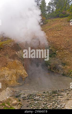 Sorgente di Dragons Mouth nella Mud Volcano area del parco nazionale di Yellowstone, Wyoming Foto Stock