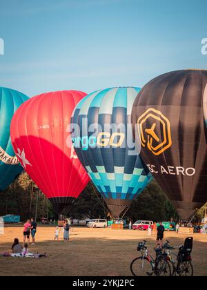 Palloncini colorati che si innalzano nel cielo azzurro durante un vivace evento in mongolfiera, che mette in mostra avventura, libertà e attività ricreative all'aperto Foto Stock