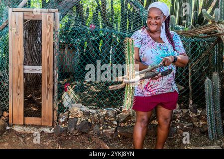 Dokterstuin, Curacao, Curacao Foto Stock