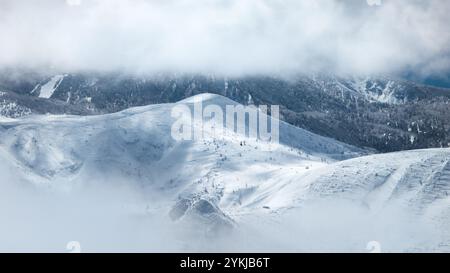 Paesaggio boschivo innevato e montagne che emergono attraverso buchi in uno spesso strato di nuvole Foto Stock