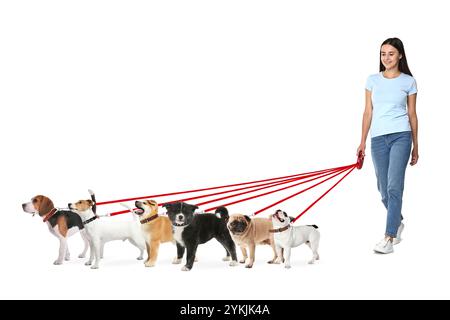 Giovane donna con sei cani diversi su sfondo bianco. Servizio di passeggio per cani Foto Stock