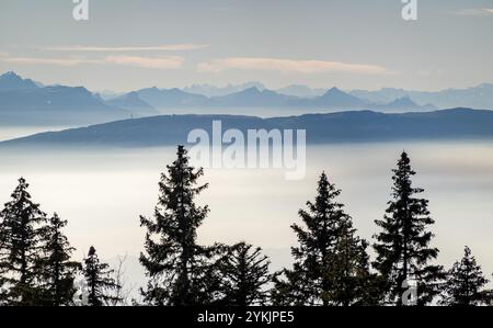 Alpi francesi che si innalzano sopra la nebbia sul Lago di Ginevra Foto Stock