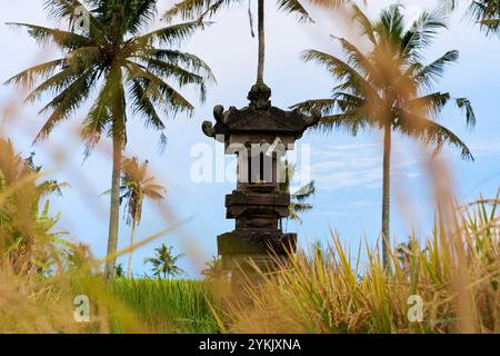 Un tempio sacro monumento per adorare gli dei e fare offerte si trova in un campo di riso Foto Stock