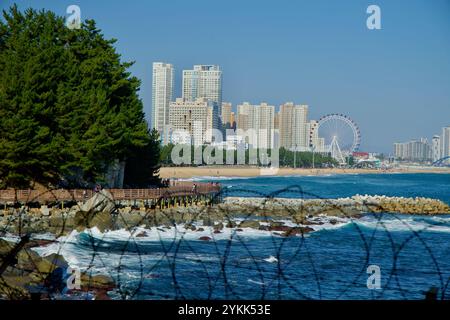 Sokcho City, Corea del Sud - 3 novembre 2024: Una splendida vista della passerella Oeongchi Sea Fragrance Trail lungo la costa, con il Sokcho Eye Foto Stock