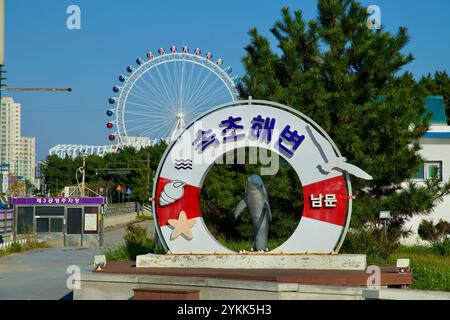 Sokcho, Corea del Sud - 3 novembre 2024: Primo piano del cartello d'ingresso di Sokcho Beach, con una scultura di delfini e dettagli vivaci, con il so Foto Stock