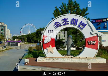 Sokcho, Corea del Sud - 3 novembre 2024: Un colorato cartello d'ingresso alla spiaggia di Sokcho che presenta una scultura di delfini, con la ruota panoramica dell'occhio di Sokcho e. Foto Stock