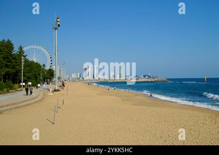 Sokcho, Corea del Sud - 3 novembre 2024: Una vista panoramica della spiaggia di Sokcho con la sua spiaggia sabbiosa, la ruota panoramica di Sokcho Eye e il moderno skyline della città Foto Stock