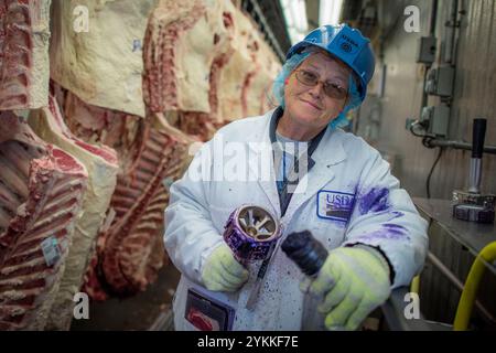 Gli ispettori USDA per le carni agricole ispezionano e classificano le carni bovine in un macello e in un impianto di imballaggio. Foto Stock
