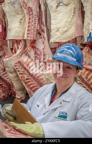 Gli ispettori USDA per le carni agricole ispezionano e classificano le carni bovine in un macello e in un impianto di imballaggio. Foto Stock