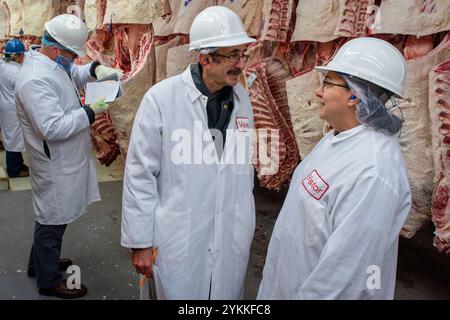 Gli ispettori USDA per le carni agricole ispezionano e classificano le carni bovine in un macello e in un impianto di imballaggio. Foto Stock