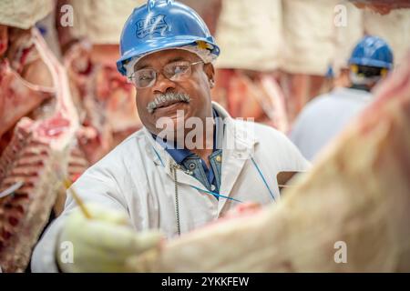 Gli ispettori USDA per le carni agricole ispezionano e classificano le carni bovine in un macello e in un impianto di imballaggio. Foto Stock