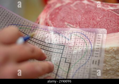 Gli ispettori USDA per le carni agricole ispezionano e classificano le carni bovine in un macello e in un impianto di imballaggio. Foto Stock