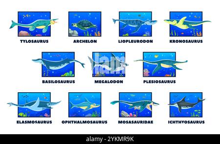 Dinosauri subacquei preistorici cartoni animati. Serie vettoriale di antiche creature sottomarine, con i loro nomi. Il mare e l'oceano nuotano tra gli animali dinosauri in scene colorate e vivaci con piante marine e coralli Illustrazione Vettoriale