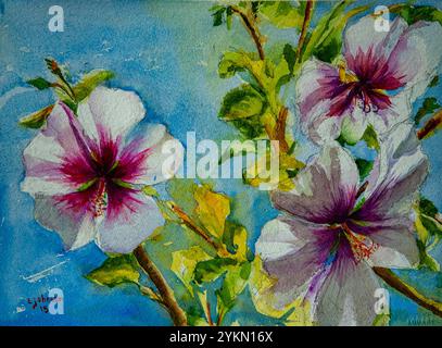 Pittura ad acquerello che mostra la vibrante bellezza dei fiori di ibisco in fiore, catturando i loro delicati petali e l'interazione di luce e ombra Foto Stock