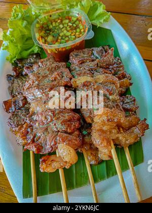 Spiedini di manzo grigliati con salsa piccante, spiedini di carne alla griglia. Foto Stock