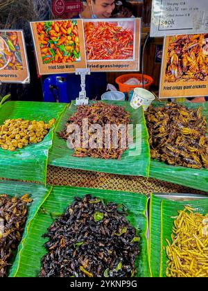 Bangkok, Tailandia, Close Up, Modern Shopping Center, i »Consiam', mercato alimentare tailandese, cibi esotici, insetti fritti in mostra Foto Stock