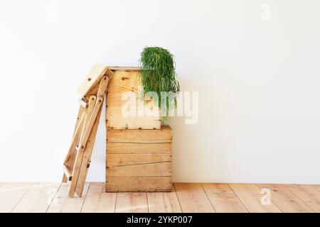 Pavimento in legno, parete bianca, scatola per vini e scala a cavalletto Foto Stock