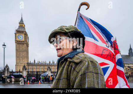 Londra, Regno Unito. 19 novembre 2024. Gli agricoltori protestano contro la decisione di Rachel Reeves di imporre l'imposta sulle successioni (IHT) su tutte le aziende agricole, per un valore di oltre 1 milione di sterline, che secondo loro "ha messo gli agricoltori britannici in una posizione pericolosa”. Crediti: Guy Bell/Alamy Live News Foto Stock