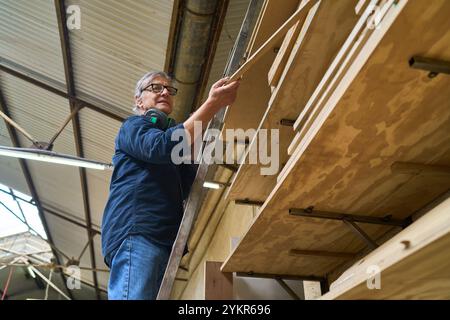 Un lavoratore esperto che indossa l'attrezzatura di sicurezza organizza tavole di legno in un vivace bosco. Sottolinea l'importanza della sicurezza e dell'organizzazione in WO Foto Stock