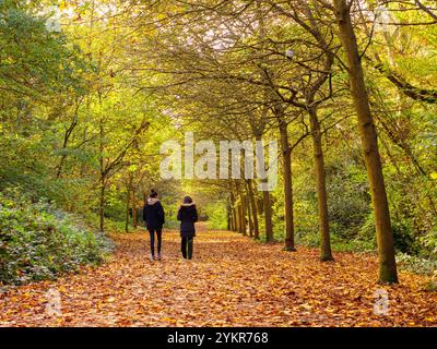 Due donne camminano lungo un sentiero alberato a Holland Park tra le foglie cadute dell'autunno, Londra, Regno Unito Foto Stock