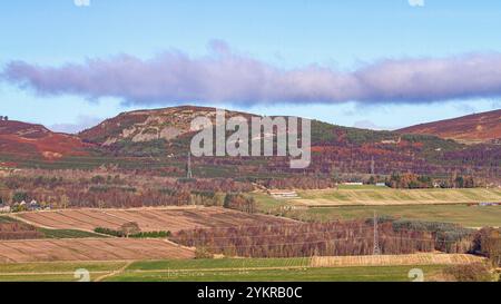 Dundee, Tayside, Scozia, Regno Unito. 19 novembre 2024. Meteo nel Regno Unito: Il freddo e il luminoso sole di novembre, insieme a un po' di gelo, creano un magnifico paesaggio tardo autunnale della Dundee Strathmore Valley e delle Sidlaw Hills in Scozia. Crediti: Dundee Photographics/Alamy Live News Foto Stock