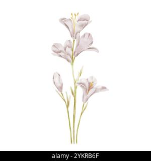 Carino Freesia con fiori selvatici sul bianco. Illustrazione acquerello in stile per bambini per tessuti, decorazioni feste per bambini, compleanno, Pasqua. Foto Stock