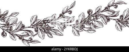Ciuffi di mirtilli con frutti di bosco e foglie. Illustrazione grafica, disegnata a mano con inchiostro marrone, line art monocromatica. Bordo senza cuciture, motivo, semplice da indossare Illustrazione Vettoriale