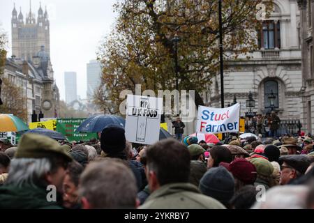 LONDRA, Regno Unito - 19 novembre 2024: Gli agricoltori e i sostenitori reggono striscioni mentre si riuniscono a Whitehall di Londra per protestare contro le nuove norme fiscali sulle successioni introdotte dai laburisti nel loro recente bilancio. (Crediti: Craig Mercer/ Alamy Live News) Foto Stock