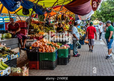 I commercianti provenienti dal Venezuela portano i loro prodotti freschi in barca al mercato galleggiante di Willemstad, a circa 70 chilometri di distanza, e poi li offrono in numerose bancarelle di oltre 200 metri di lunghezza. Le pile di manghi freschi, papaya, ananas, meloni, piantane e noci di cocco sono davvero un'attrazione da non perdere. Caprileskade, Willemstad, CuraCao, Curacao, Kòrsou Foto Stock