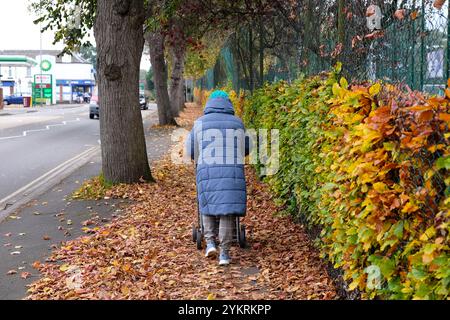 donne che spingono un trolley lungo un percorso coperto di foglie cadute Foto Stock
