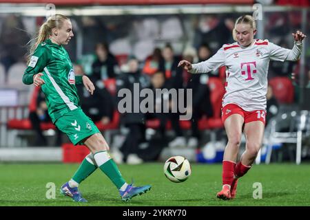 v.li.: Emöke Papai (SV Werder Brema, 16) und Carlotta Imping (1. FC Köln, 14) im Zweikampf, Duell, Dynamik, Aktion, ACTION, SPIELSZENE, DIE DFB-RICHTLINIEN UNTERSAGEN JEGLICHE NUTZUNG VON FOTOS ALS SEQUENZBILDER UND/ODER VIDEOÄHNLICHE FOTOSTRECKEN. LE NORMATIVE DFB VIETANO QUALSIASI USO DI FOTOGRAFIE COME SEQUENZE DI IMMAGINI E/O QUASI-VIDEO., 18.11.2024, Köln (Deutschland), Fussball, Google Pixel Frauen-Bundesliga, 1) FC Köln - SV Werder Brema Foto Stock